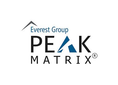 Everest Group Peak Matrix logo